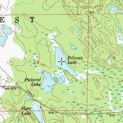 Topographic Map of Pelican Lake, MI