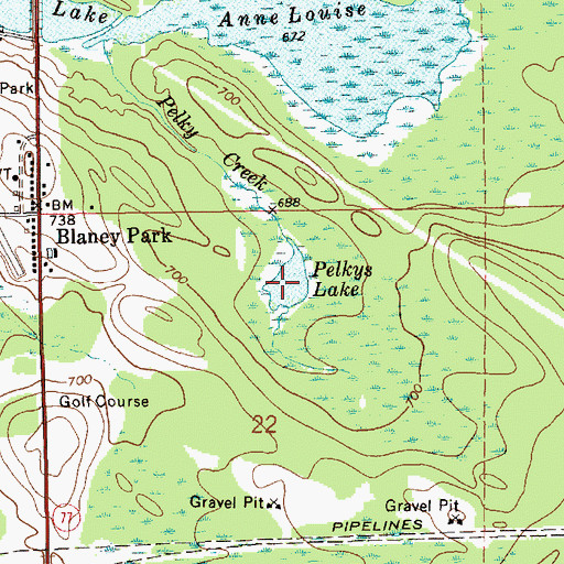 Topographic Map of Pelkys Lake, MI