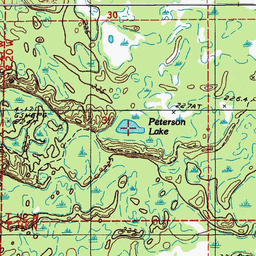 Topographic Map of Peterson Lake, MI
