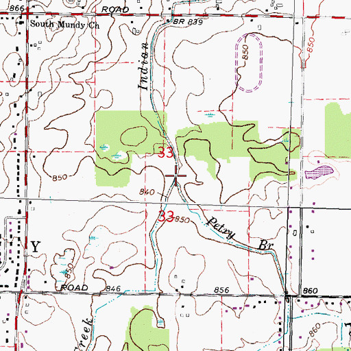 Topographic Map of Petry Branch, MI