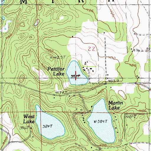 Topographic Map of Pettifor Lake, MI
