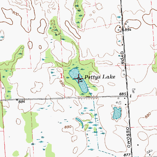 Topographic Map of Pettys Lake, MI