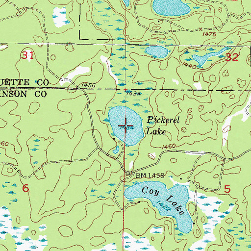 Topographic Map of Pickerel Lake, MI