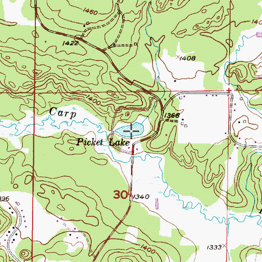 Topographic Map of Picket Lake, MI
