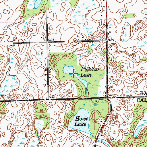 Topographic Map of Pickliss Lake, MI