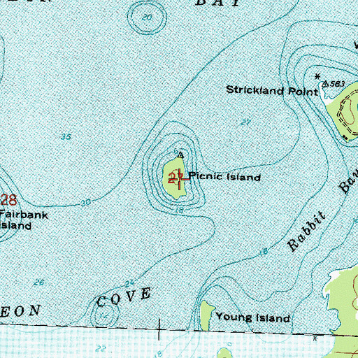 Topographic Map of Picnic Island, MI