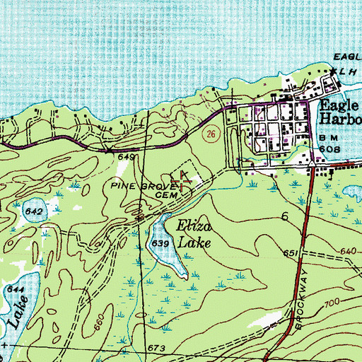 Topographic Map of Pine Grove Cemetery, MI