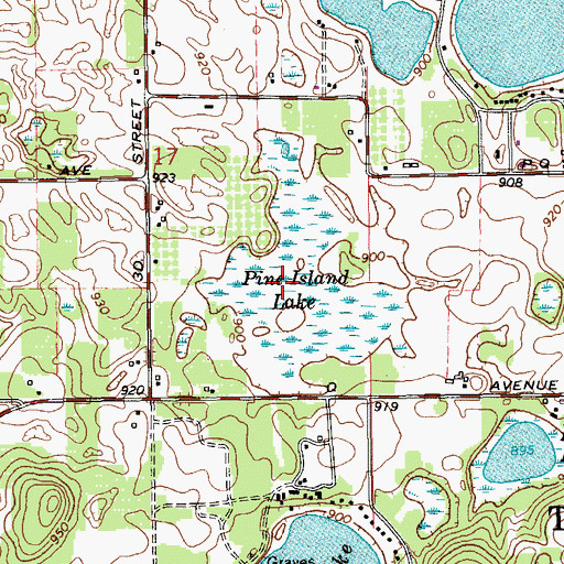 Topographic Map of Pine Island, MI