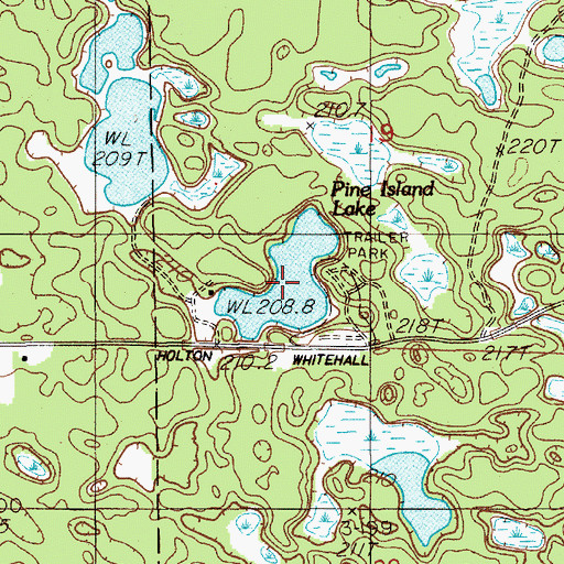 Topographic Map of Pine Island Lake, MI