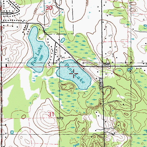 Topographic Map of Pine Lake, MI