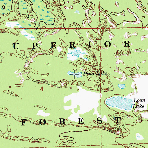 Topographic Map of Pine Lake, MI