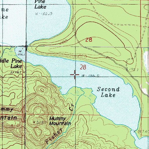 Topographic Map of Pine Lake, MI