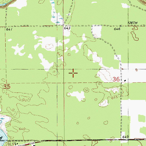 Topographic Map of Pine Plains, MI