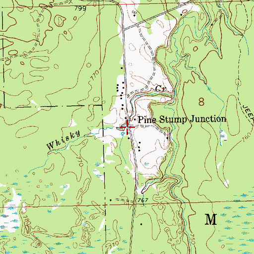Topographic Map of Pine Stump Junction, MI