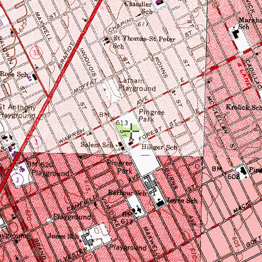 Topographic Map of Pingree Park, MI