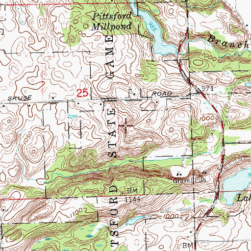 Topographic Map of Pittsford State Game Area, MI