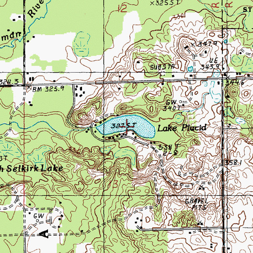Topographic Map of Lake Placid, MI