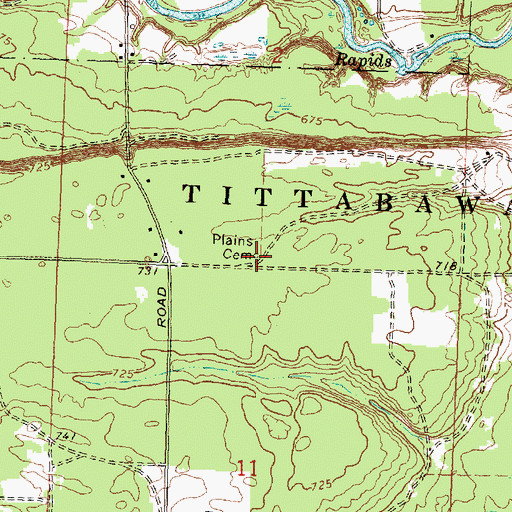 Topographic Map of Plains Cemetery, MI