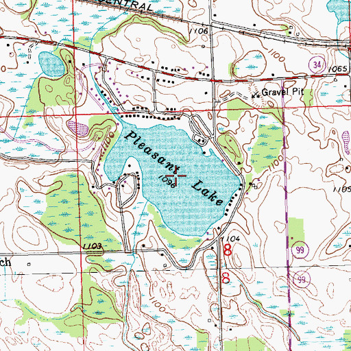 Topographic Map of Pleasant Lake, MI