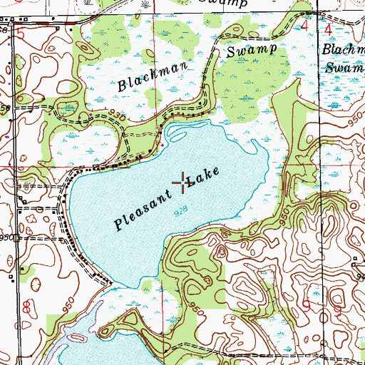 Topographic Map of Pleasant Lake, MI
