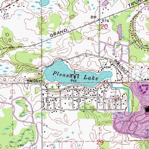 Topographic Map of Pleasant Lake, MI