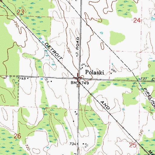 Topographic Map of Polaski, MI
