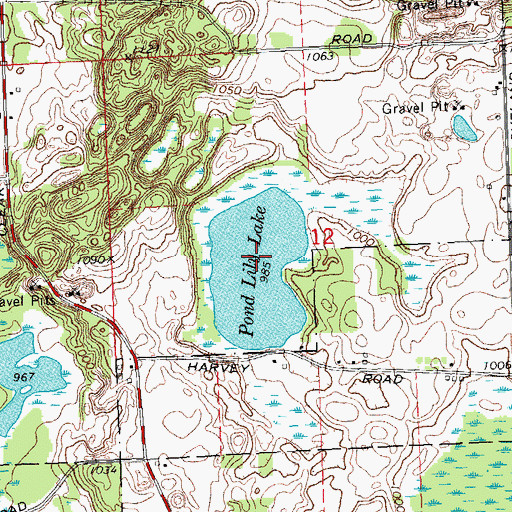 Topographic Map of Pond Lily Lake, MI