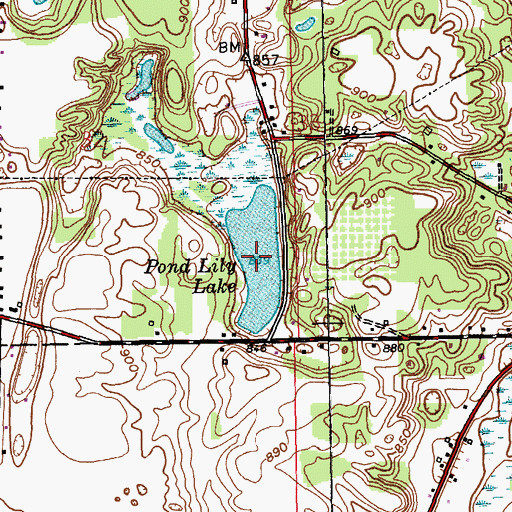 Topographic Map of Pond Lily Lake, MI