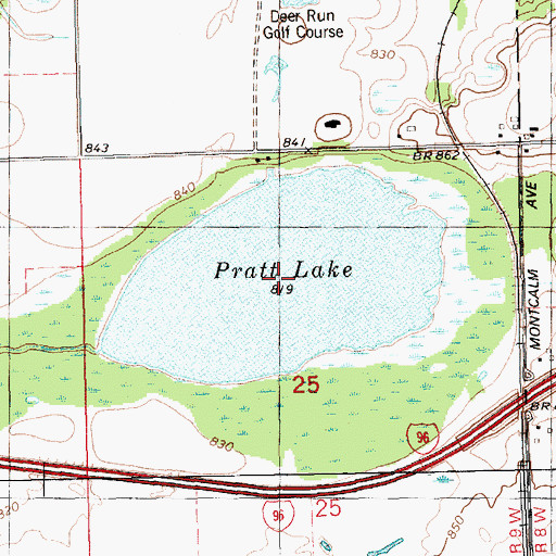 Topographic Map of Pratt Lake, MI