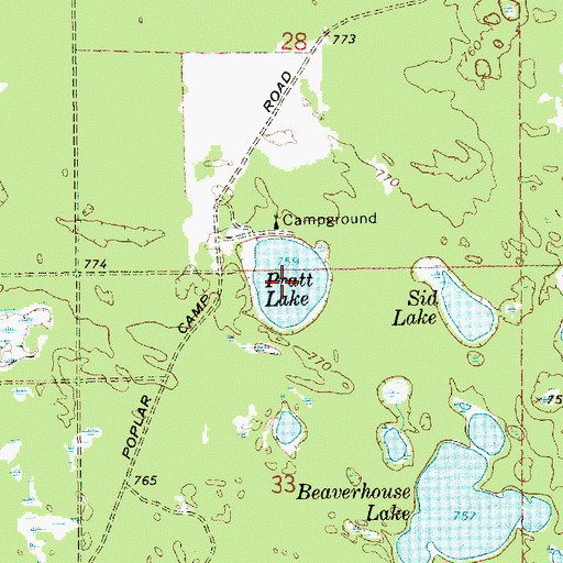 Topographic Map of Pratt Lake, MI