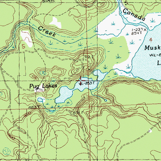 Topographic Map of Pug Lakes, MI