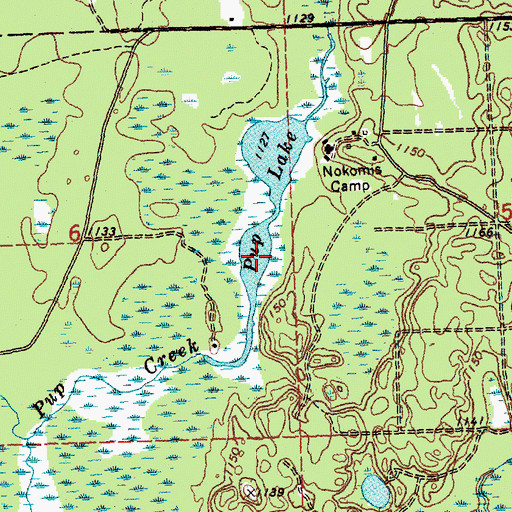 Topographic Map of Pup Lake, MI
