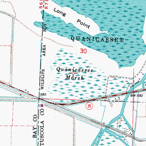 Topographic Map of Quanicassee Marsh, MI