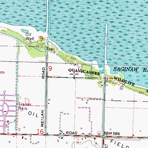 Topographic Map of Quanicassee Wildlife Area, MI