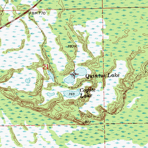 Topographic Map of Quintus Lake, MI