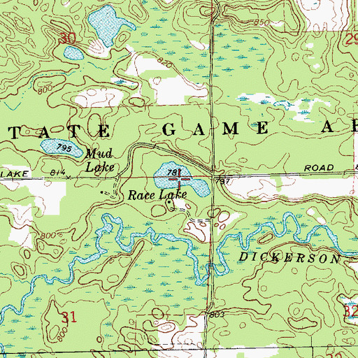 Topographic Map of Race Lake, MI