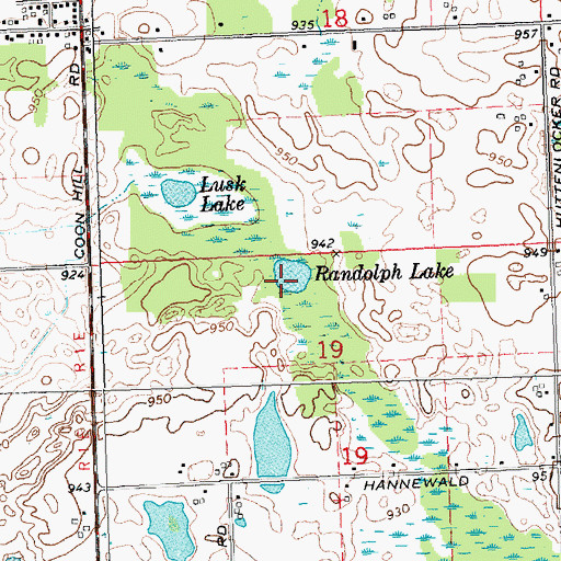Topographic Map of Randolph Lake, MI