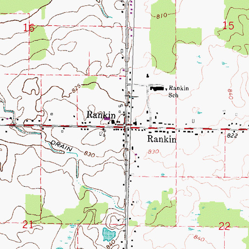 Topographic Map of Rankin, MI