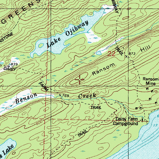 Topographic Map of Ransom Hill, MI