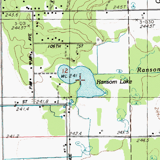 Topographic Map of Ransom Lake, MI
