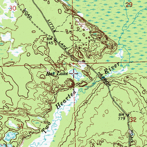 Topographic Map of Rat Lake, MI