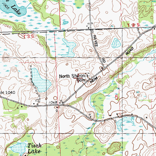 Topographic Map of Raymond Cemetery, MI