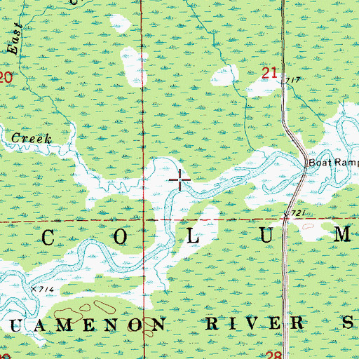 Topographic Map of Red Creek, MI