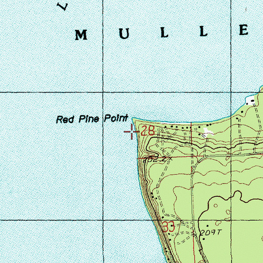 Topographic Map of Red Pine Point, MI