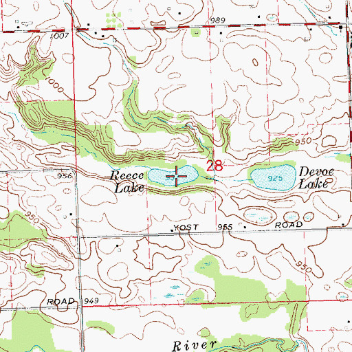 Topographic Map of Reece Lake, MI