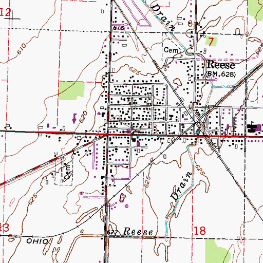 Topographic Map of Reese, MI