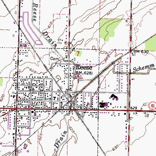 Topographic Map of Reese Drain, MI