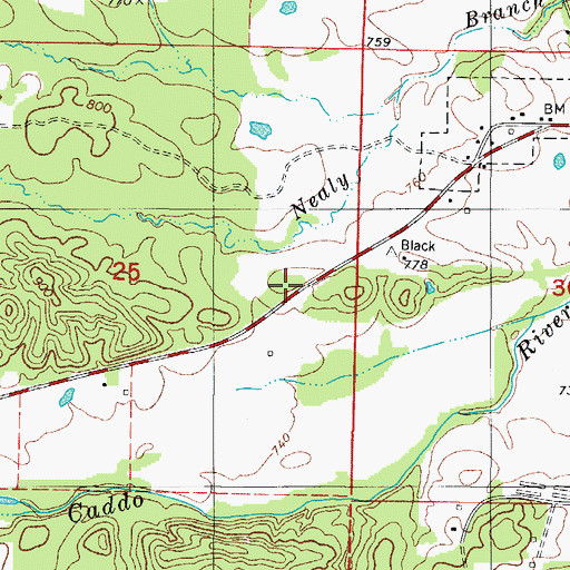 Topographic Map of Oklahoma School (historical), AR