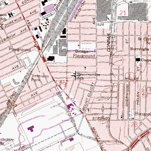 Topographic Map of Resurrection School, MI