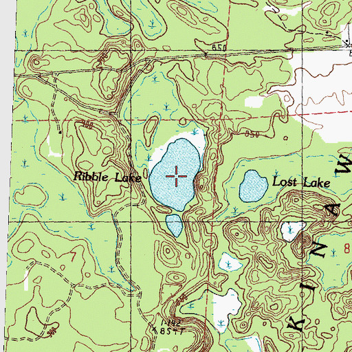 Topographic Map of Ribble Lake, MI